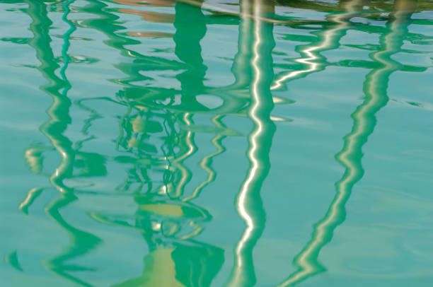 istock Surface of the water 665830642