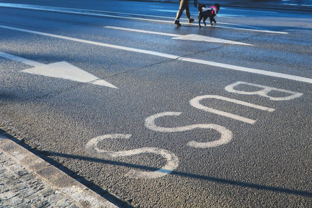 Sign On Street Saying, Bus, Malmo, Sweden