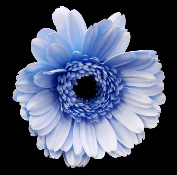 istock 