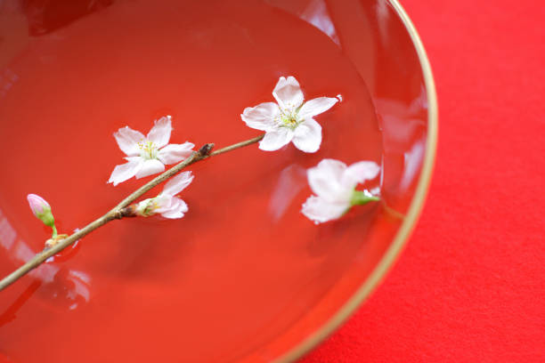 istock Early-flowering cherry tree in early spring 665850262
