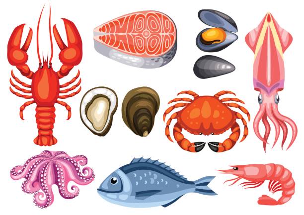 illustrazioni stock, clip art, cartoni animati e icone di tendenza di vari set di frutti di mare. illustrazione di pesci, crostacei e crostacei - prepared shellfish