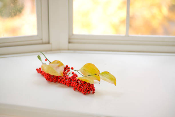 By the window in autumn