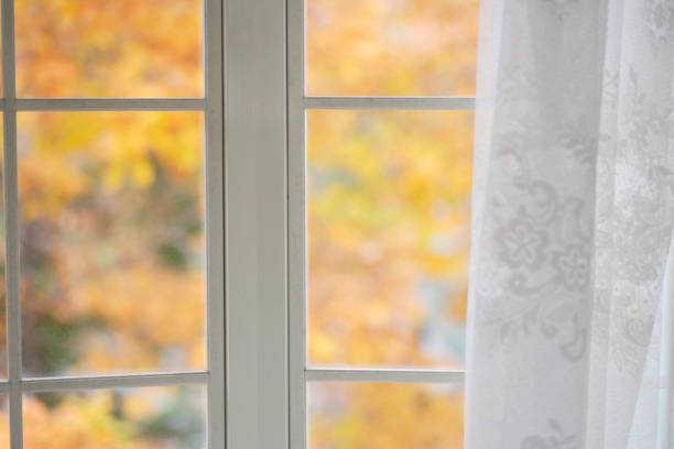 istock By the window in autumn 665857002
