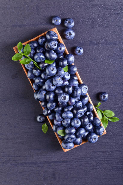 fresh blueberries with green branch on a black table - 24120 imagens e fotografias de stock