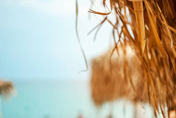 Parasol of dried grass and sea blurred in the background