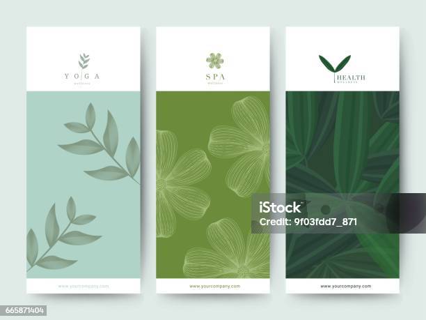 Branding Packaging Fiore Sfondo Natura Logo Banner Voucher Primavera Estate Tropicale Illustrazione Vettoriale - Immagini vettoriali stock e altre immagini di Stabilimento termale