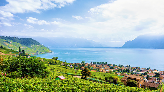 Countryside of Lavaux Vineyard Terraces hiking trail of Switzerland
