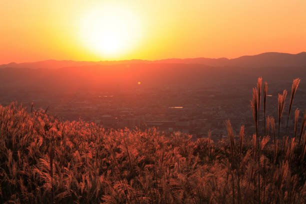 coucher de soleil montagne wakakusa - préfecture de nara photos et images de collection
