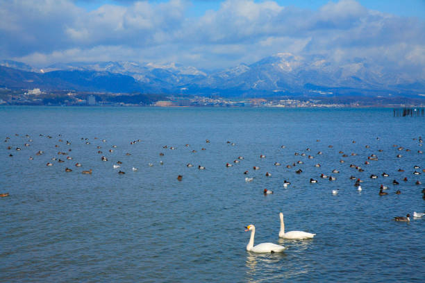 The Lake of Zurich, Switzerland.