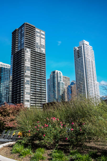 istock skyscrapers in Chicago 665879886
