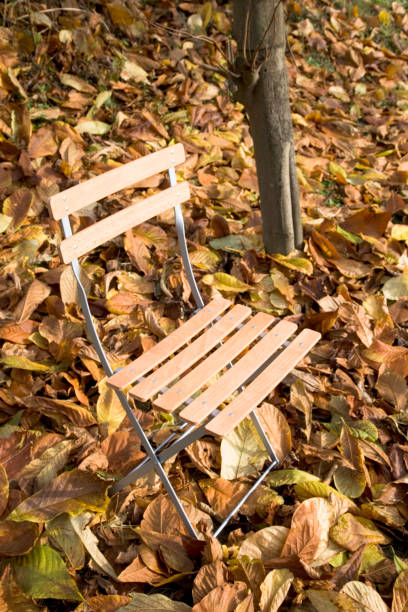 istock Chair and fallen leaves 665880348