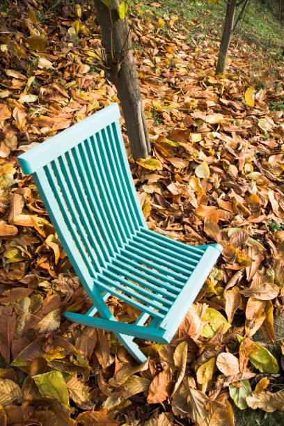 istock Chair and fallen leaves 665880370