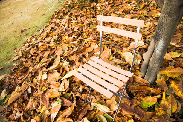 istock Chair and fallen leaves 665880494