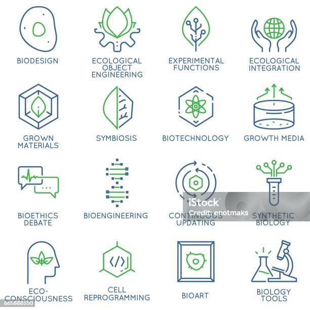 Ilustración de Conjunto De Vector De 16 Iconos Finos Lineales Relacionados Con La Bioingeniería La Biotecnología Y Bio Diseño Elementos De Diseño De Infografías Y Pictogramas De Línea Mono y más Vectores Libres de Derechos de Durabilidad