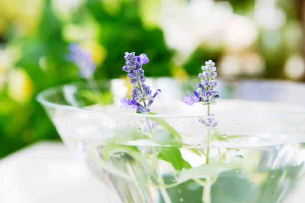 Glass and flower