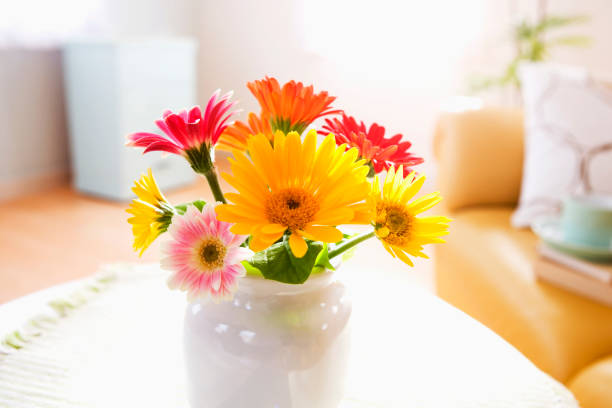 istock Living flowers 665893044