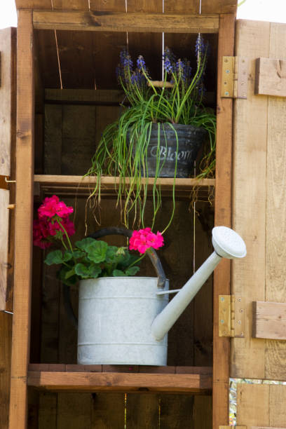 istock Watering can and flowers 665895044