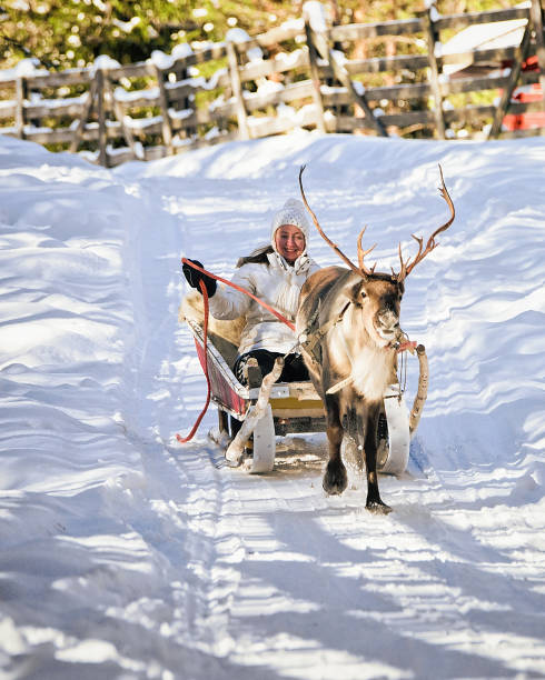 istock Woman while reindeer sleigh ride in winter Rovaniemi 665895450