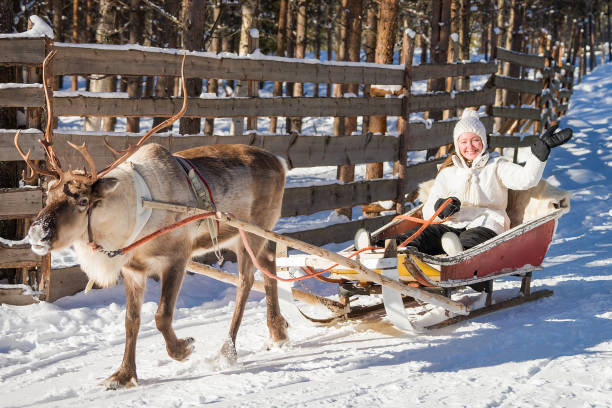 istock Woman while reindeer sledge ride in winter Rovaniemi 665895494