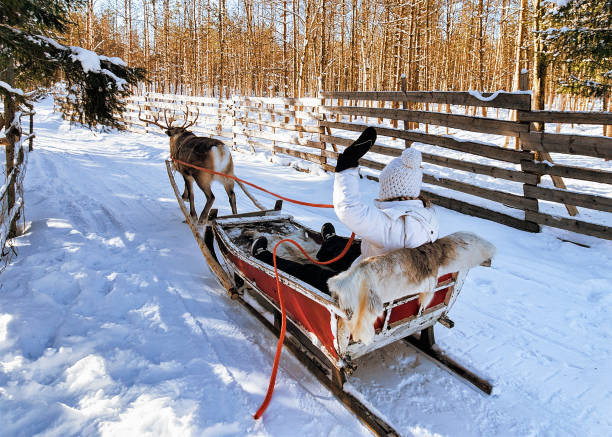 istock Girl while reindeer sledge ride in winter Rovaniemi 665896002