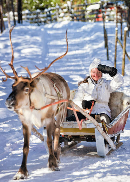 istock Woman while reindeer sled ride in winter Rovaniemi 665896150