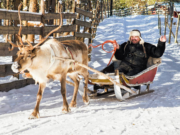 istock Man while reindeer sledge ride in winter Rovaniemi 665897568