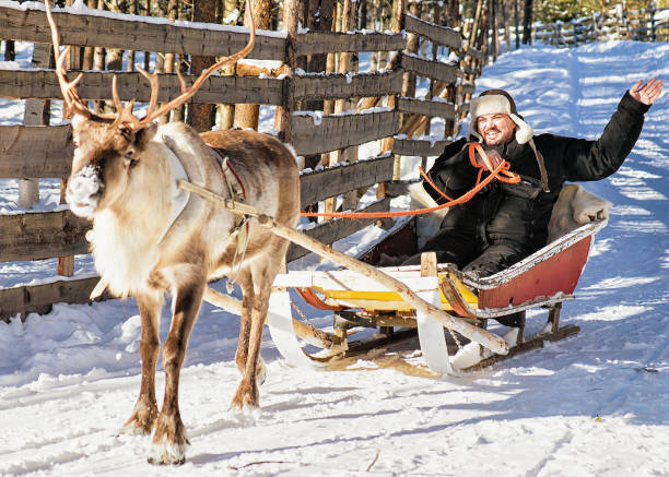 istock Man while reindeer sled ride in winter Rovaniemi 665897596