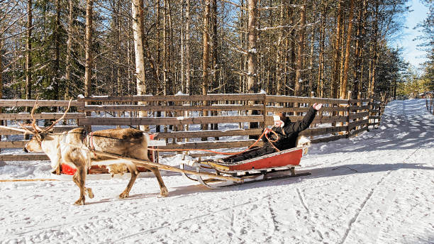 istock Man while reindeer sleigh ride in winter Rovaniemi 665897618