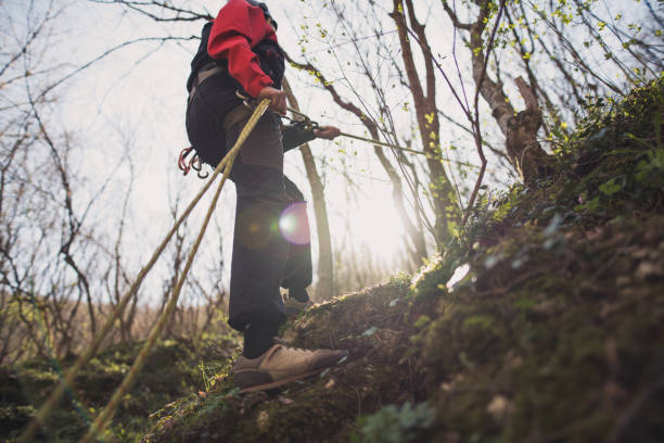 istock Climbing in the woodland 665910202