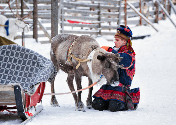 mannen i tradidional samiska kostym med renar - same direction bildbanksfoton och bilder