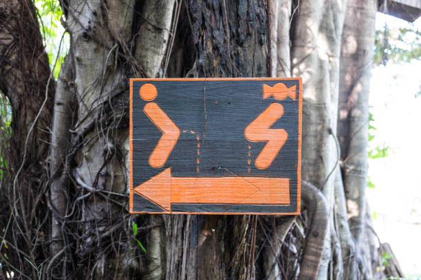 istock Toilet sign plate on tree in the garden 665913574