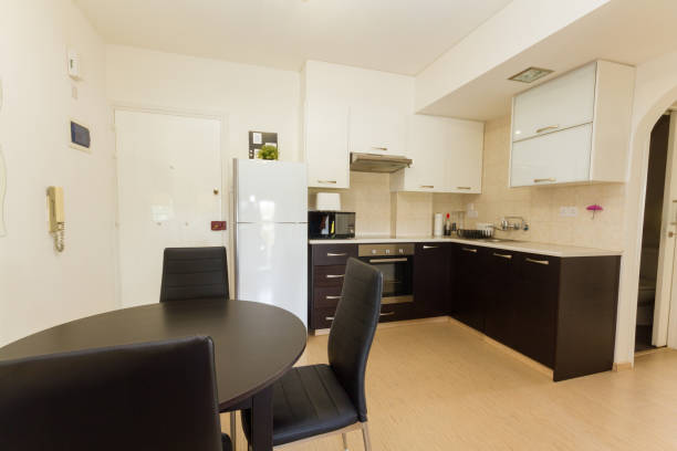 istock Modern Kitchen in Wenge and White colors 665913834
