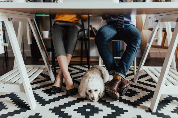istock Dog lying on the floor below the desk 665916642