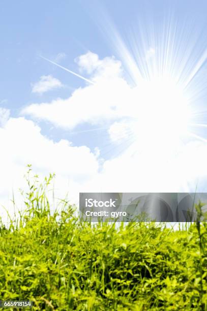 Immagini Estive - Fotografie stock e altre immagini di Ambientazione esterna - Ambientazione esterna, Blu, Cielo