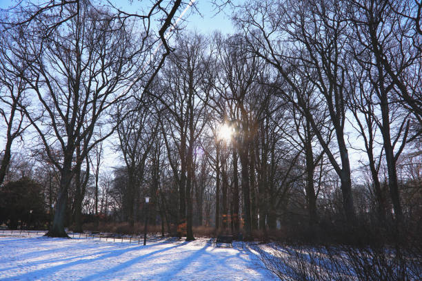 Harrogate Stray England in winter