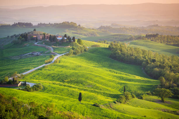 istock Tuscany, spring landscape, rolling hills at sunset 665935740