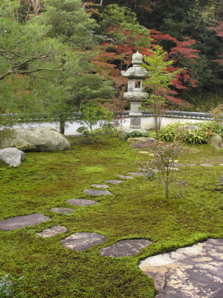 chofu mohri jardim casa - footpath tree japan stepping stone - fotografias e filmes do acervo