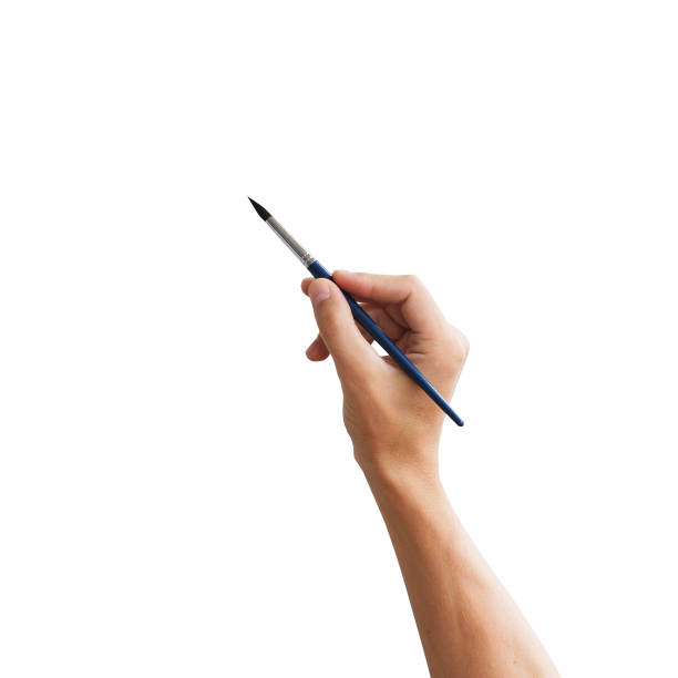 istock Brush in hand. Isolated on white background. 665940008