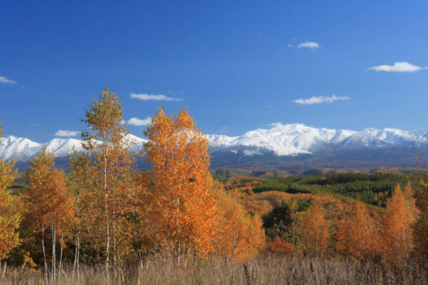 istock Fall foliage and the Tokachi mountain range 665940798
