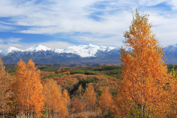istock Fall foliage and the Tokachi mountain range 665940886