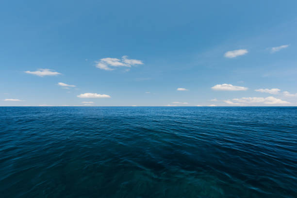 istock Blue sea and perfect sky 665950462