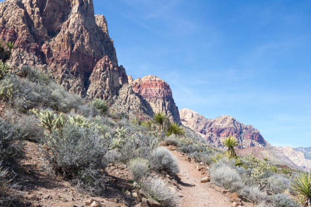 Sentiero nel deserto del Nevada - foto stock