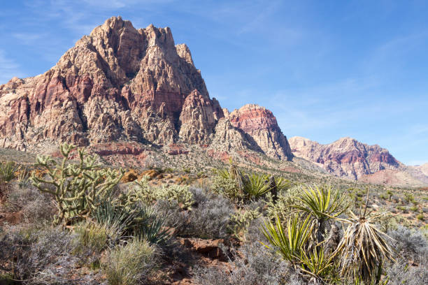 Vista del deserto del Nevada - foto stock