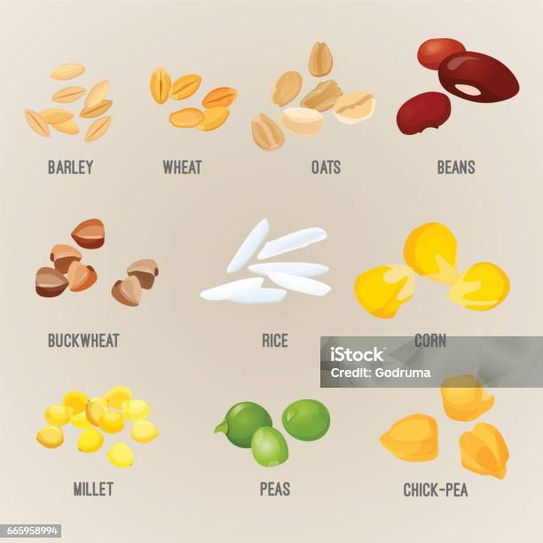 Cereals Piles Of Types Colorful Flat Vector Poster Stock Illustration - Download Image Now - Oats - Food, Oat - Crop, Oat Flake