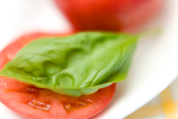 Basil