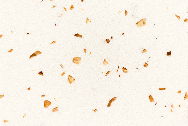 Oat plant isolated on white without shadow clipping path