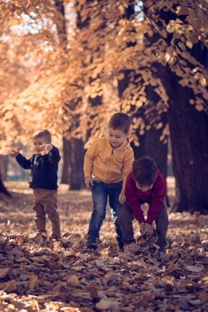 istock Three children playing with autumn leaves in park 665979812