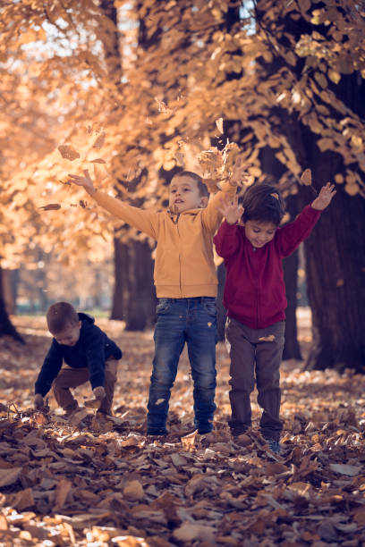 istock Three children playing with autumn leaves in park 665984348