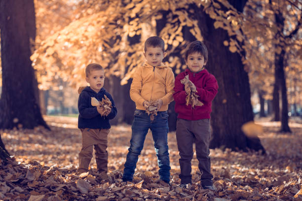 istock Three children playing with autumn leaves in park 665984844