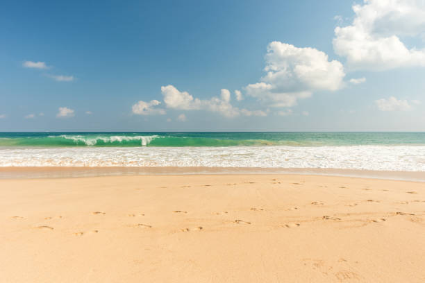 istock Beach and tropical sea 665985050
